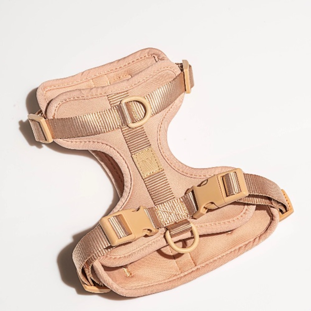 Wild One Harness Small